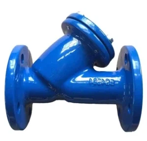 Ductile Iron Y Type Strainer Double Flange Water DIN/JIS/ASME/ASTM/GB
