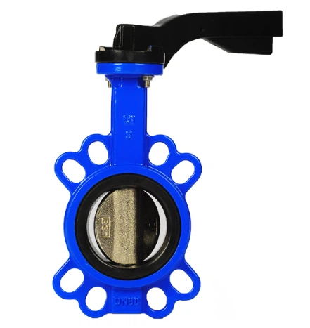 Soft Seal Lug Type คู่มือการใช้งาน ผู้ผลิตวาล์วปีกผีเสื้อน้ำเหล็กหล่อ